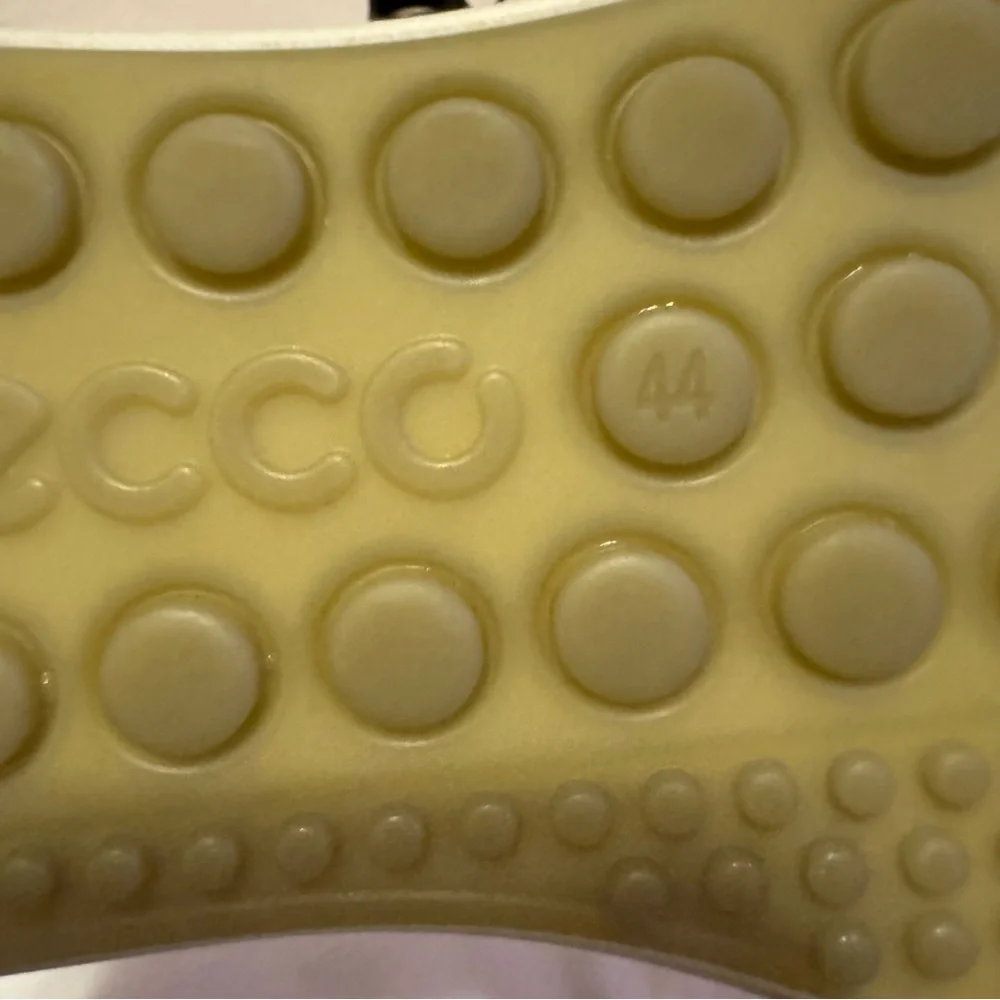 Ecco these classic